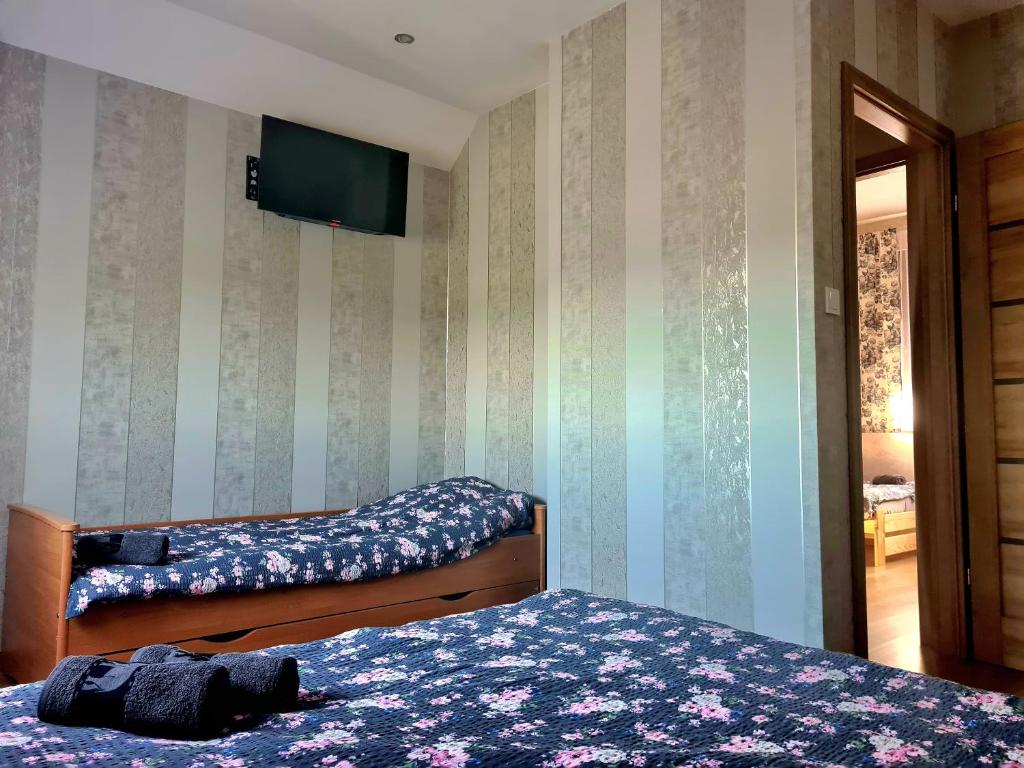 Fotografia z galérie ubytovania Tajger Apartamenty v destinácii Polańczyk