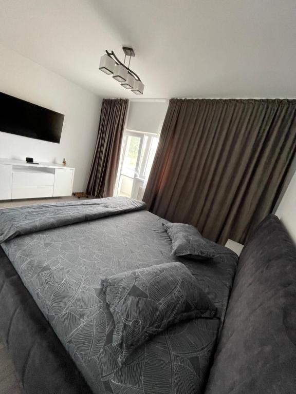 Postel nebo postele na pokoji v ubytování Mircea’s Apartament