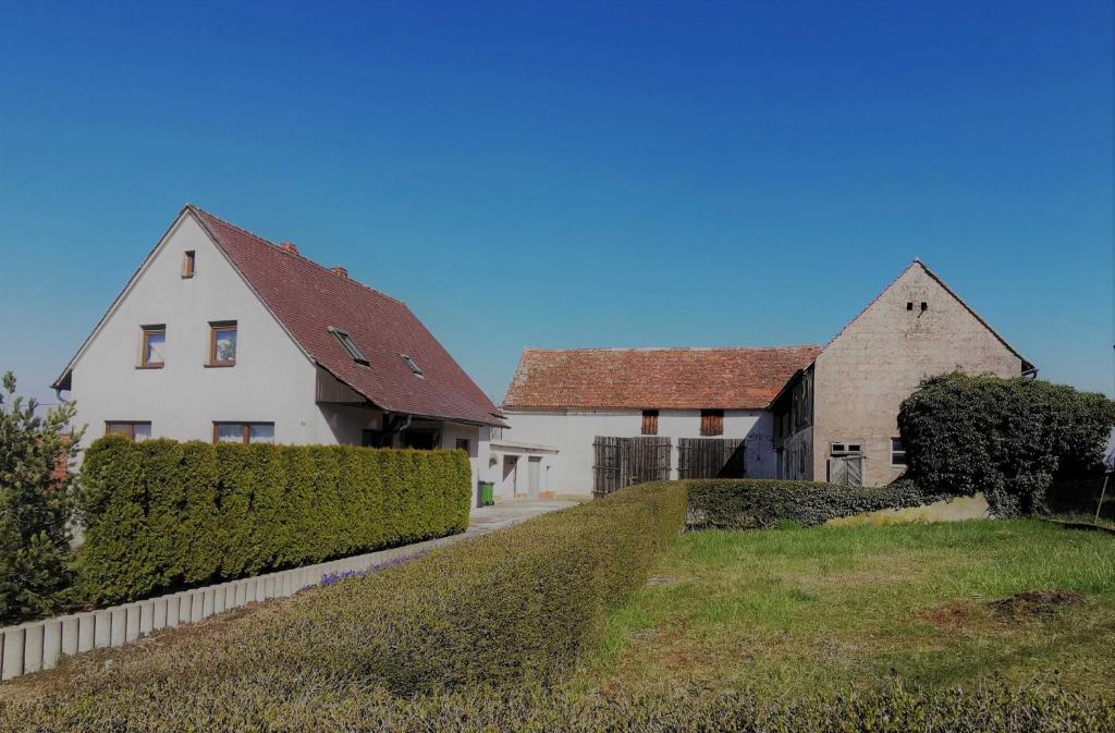 two houses and a hedge in front of a house at Schnaid im Glück in Hallerndorf