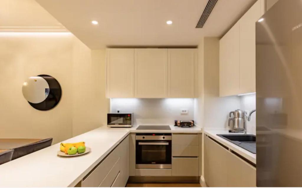 Kuchyň nebo kuchyňský kout v ubytování Istanbul Taksim 360 Luxury Apartment