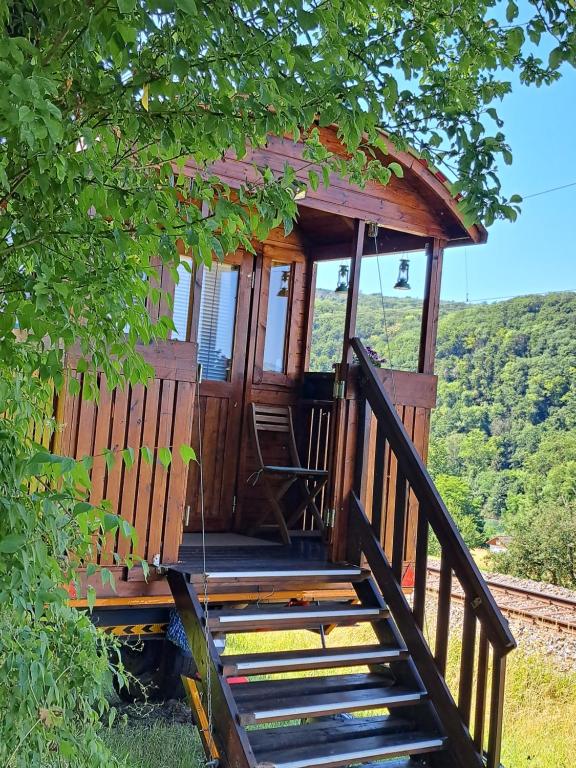 uma escada que leva a uma cabana numa árvore em Autarkes Tiny House mit Rheinblick em Rümikon