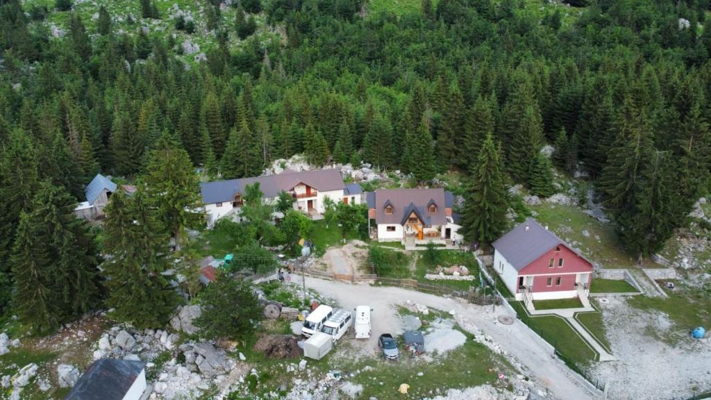 an aerial view of a house in a forest at Bujtina Arlindi in Valbonë