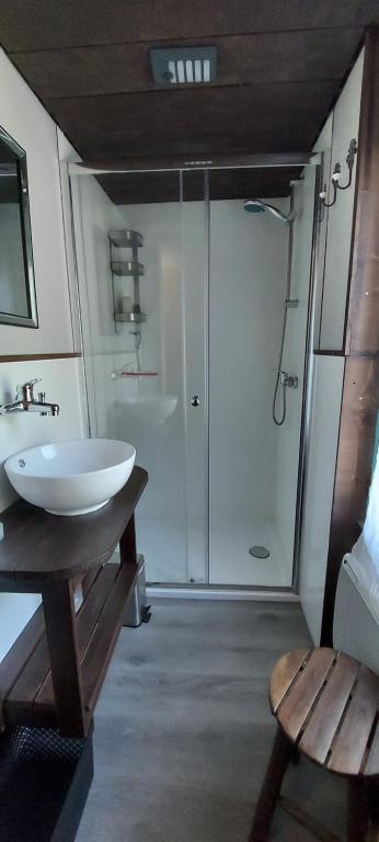 a bathroom with a shower and a sink and a toilet at Chambre d'hotes le cycliste in La Chapelle