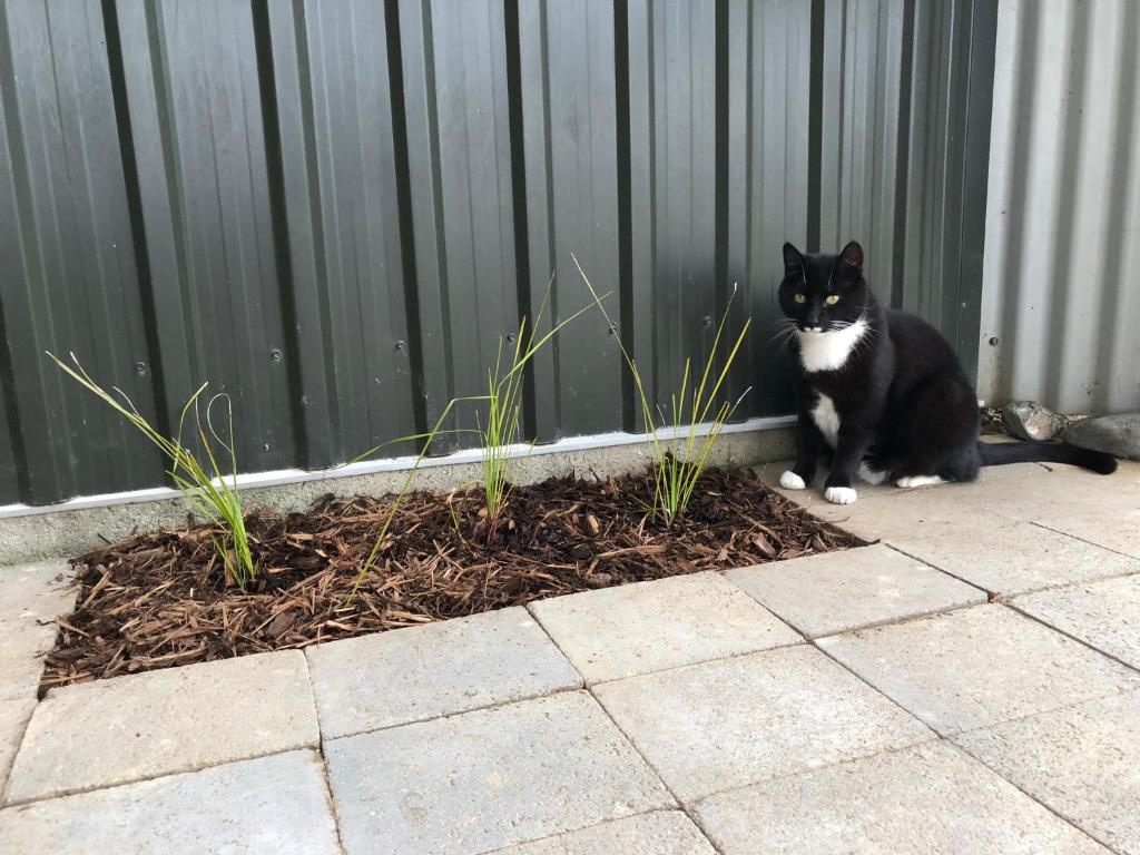 Cosy Country Stay B&B - Resim 15