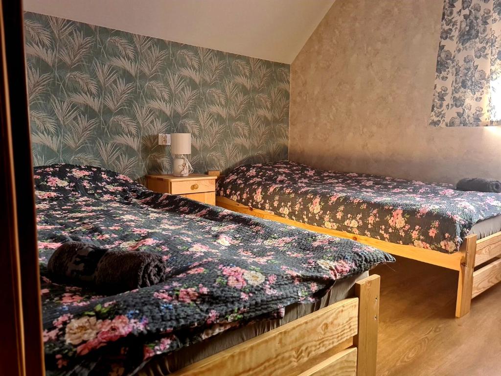 Fotografia z galérie ubytovania Tajger Apartamenty v destinácii Polańczyk