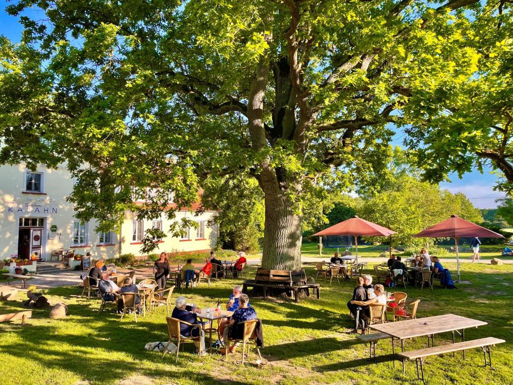 a group of people sitting at tables under a tree at Hotel Gutshaus Kajahn in Gustow