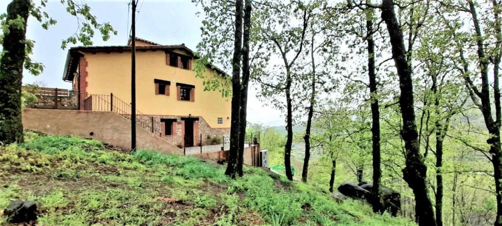 Apartamentos La Rosa y El Pastor - 9