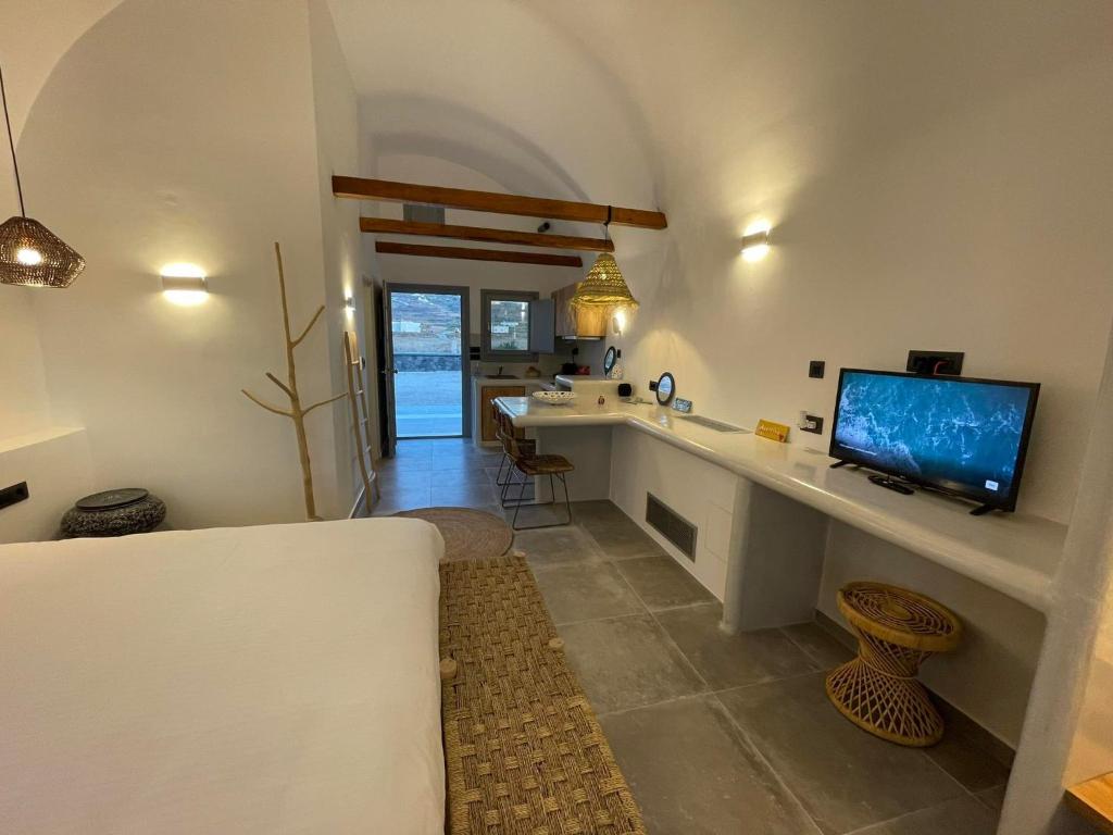 TV a/nebo společenská místnost v ubytování Anemi Vine Villas