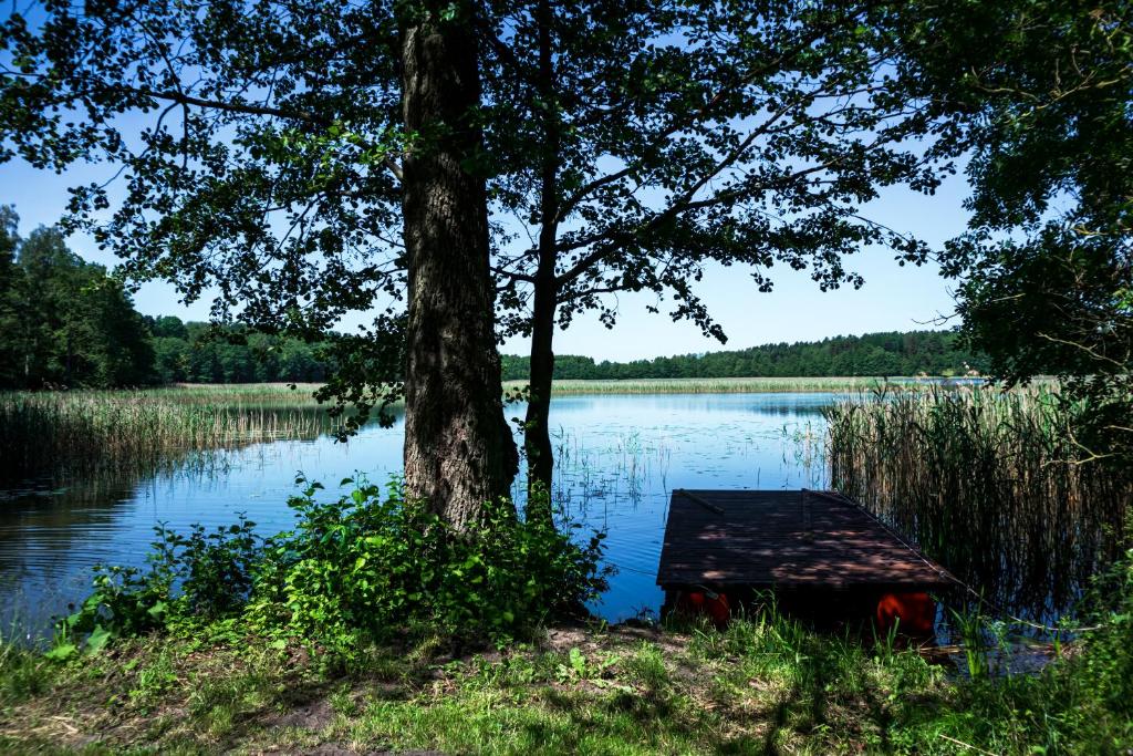 Fotografia z galérie ubytovania Żwirek Muchomorek v destinácii Sterławki Małe