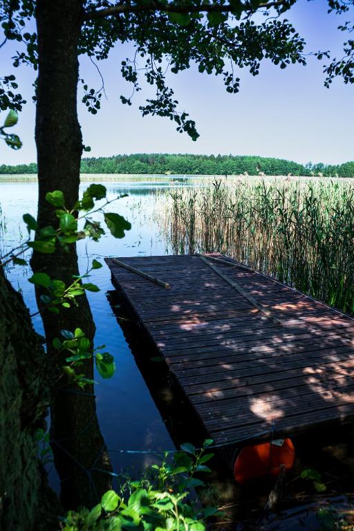 Fotografia z galérie ubytovania Żwirek Muchomorek v destinácii Sterławki Małe
