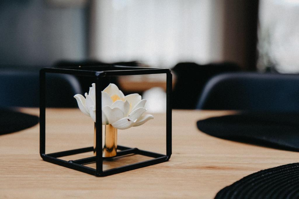 Foto Pärnus asuva majutusasutuse Hotel Vesiroos galeriist