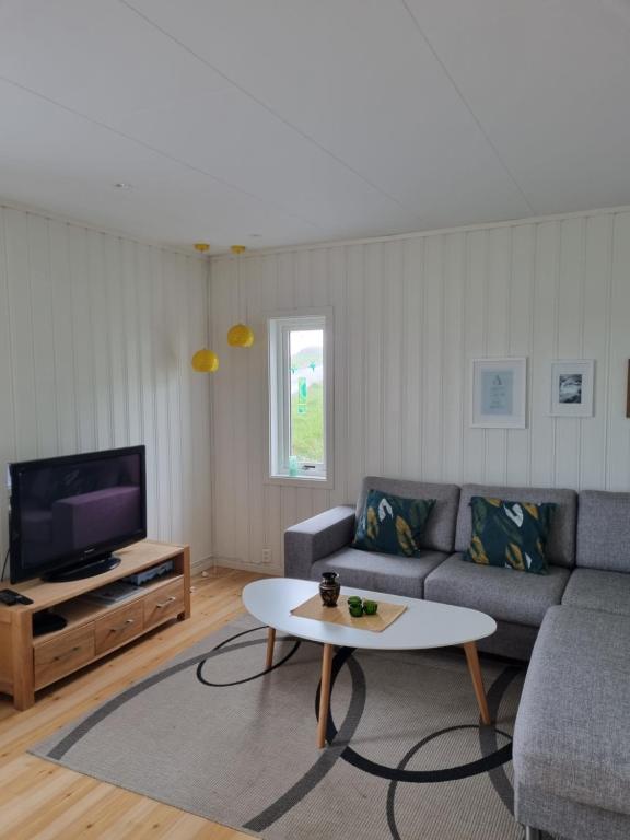 Aktiv ferie i Vesterålen, Hovden 8475 Straumsjøen في Hovden: غرفة معيشة مع أريكة وطاولة قهوة