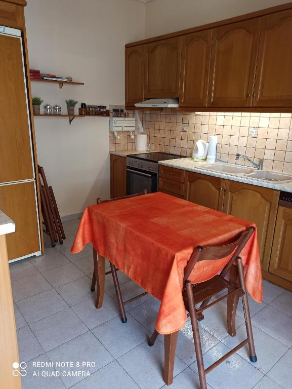 Η κουζίνα ή μικρή κουζίνα στο Ομορφο διαμέρισμα κοντά στο σταθμό Δουκίσσης Πλακεντίας