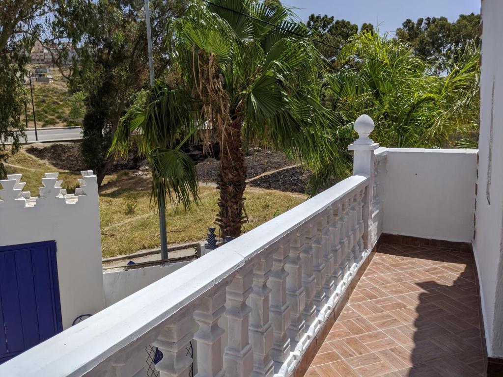 a white fence with a palm tree in the background at Malabata Guest House in Tangier