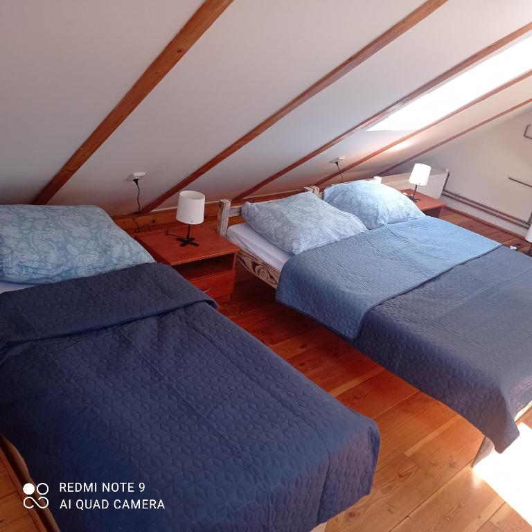 2 letti in una camera mansardata con coperte blu di Chata Vidlák a Černíny