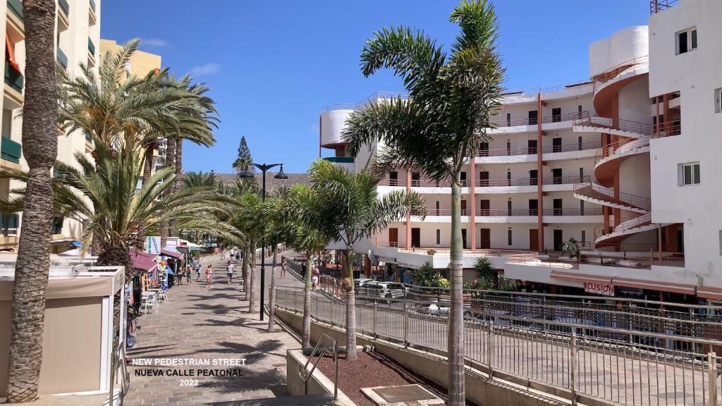 Apartment Carmen Sunrise, Los Cristianos, Los Cristianos ...