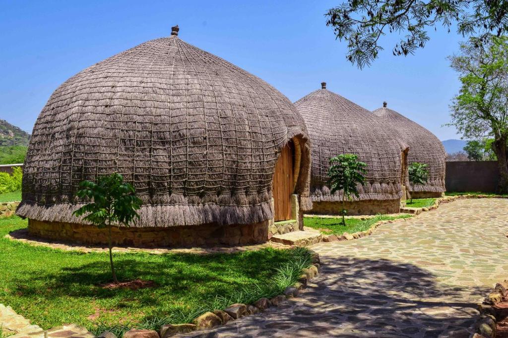 Dos cúpulas de paja con árboles en la hierba en Olive Country Lodge - Eswatini, en Ngwempisi