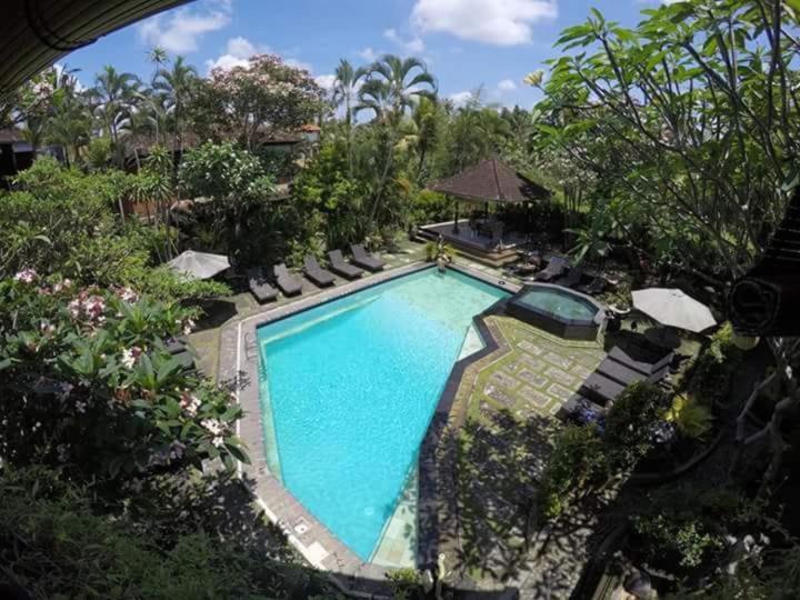 Kolam renang di atau dekat dengan Okawati Boutique Bungalows