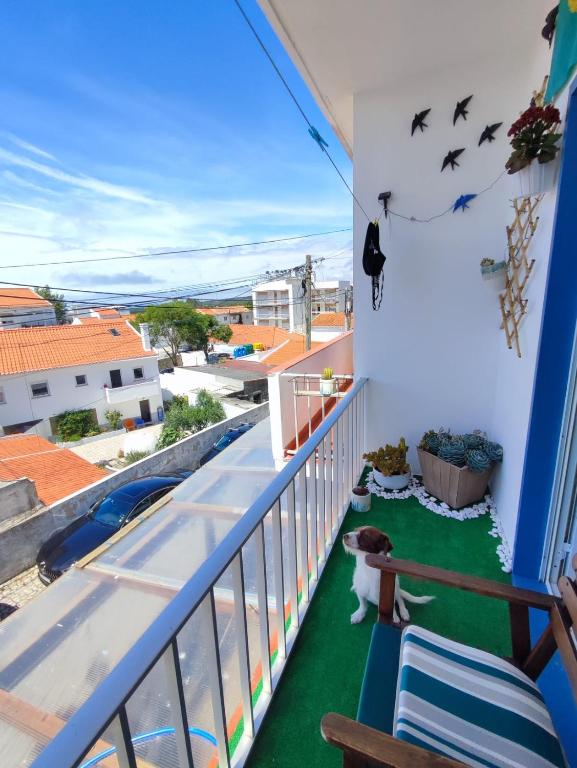 Casa da Tina Conforto Familiar no Sítio da Nazaré 4