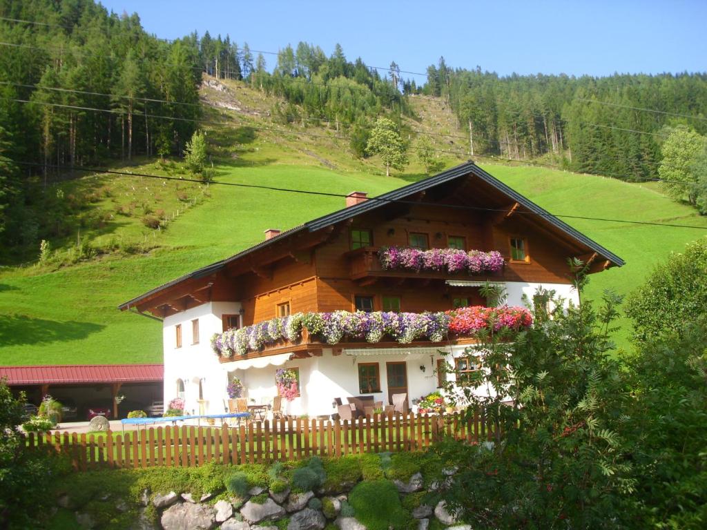 Příroda nedaleko apartmánu
