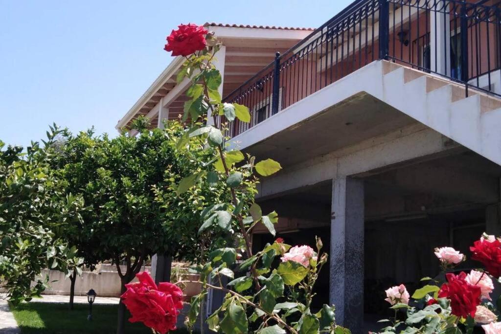 A garden outside Derveni Summer House