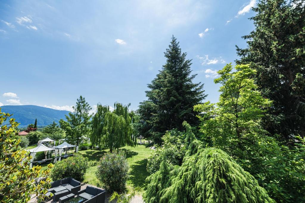 Hotel Weingarten - 豪华双人或双床间 - 带阳台