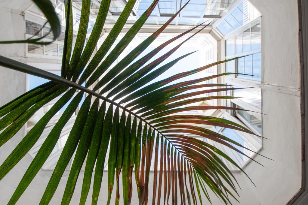 Fotografia z galérie ubytovania Apartamento Ooh La Lá Cádiz v destinácii Cádiz