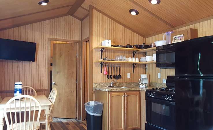 a kitchen with wooden walls and a black refrigerator at Tall Pines Resort Cabin 