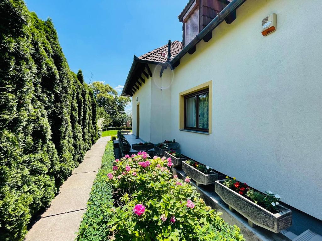 Fotografia z galérie ubytovania Mikes Deluxe Home v Balatonfürede
