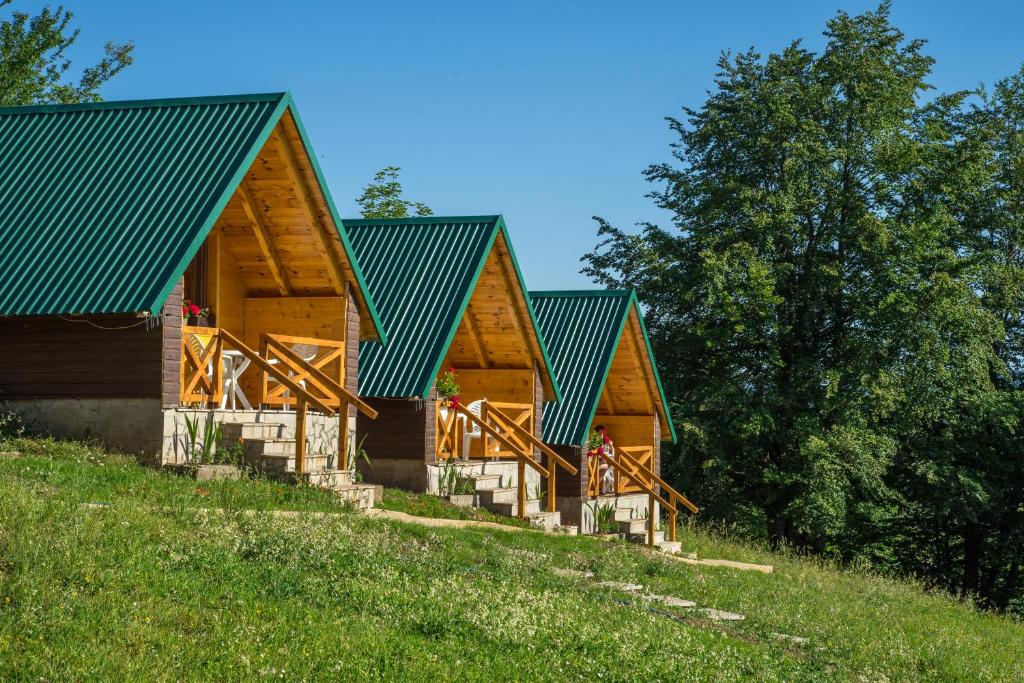 Příroda nedaleko apartmánu