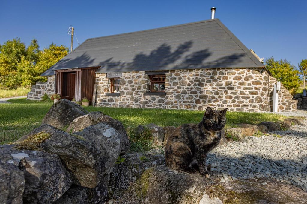 um gato sentado em rochas em frente a uma casa de pedra em Edinbane Self Catering - On the Croft at Edinbane em Edinbain