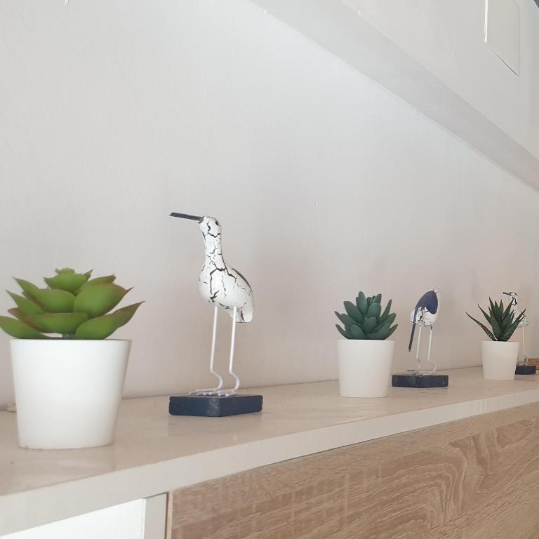Fotografie z fotogalerie ubytování Espectacular apartamento en la Isla de Tabarca v destinaci Tabarca