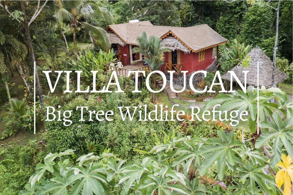 波多維耶荷的住宿－Villa Toucan with National Geographic Views，红房子森林里的一个大树野生动物保护区
