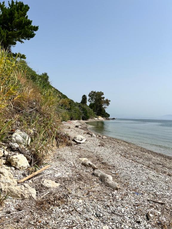 Príroda v okolí apartmánu