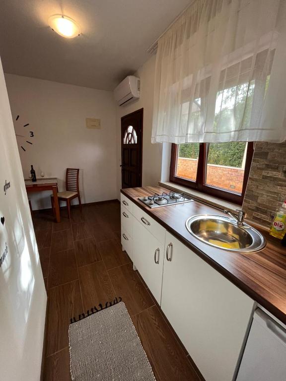 Kuchyň nebo kuchyňský kout v ubytování Studio apartman SAN 3