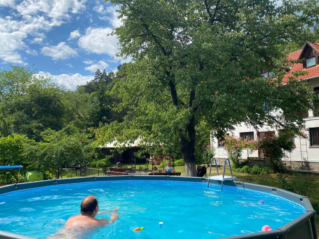 un hombre nadando en una gran piscina con un árbol en Casa Bucataria Fonix en Praid