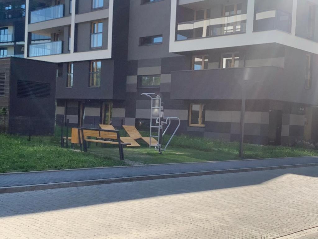 Pachecos' Garden - 18