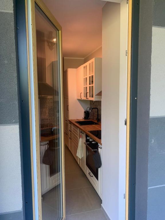 Pachecos' Garden - 19