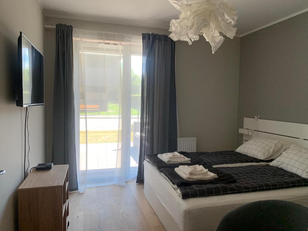 Pachecos' Garden - 13