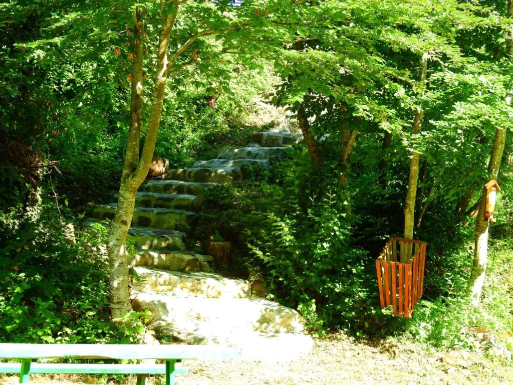 Private accommodation Kalezić - 19