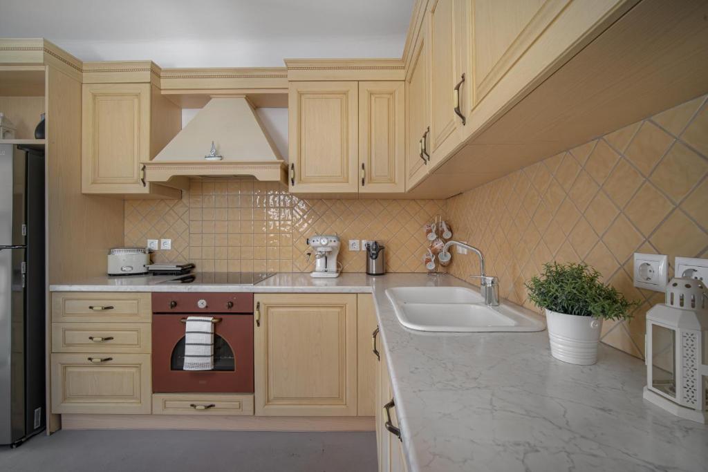 Kuchyň nebo kuchyňský kout v ubytování Villa Ostria