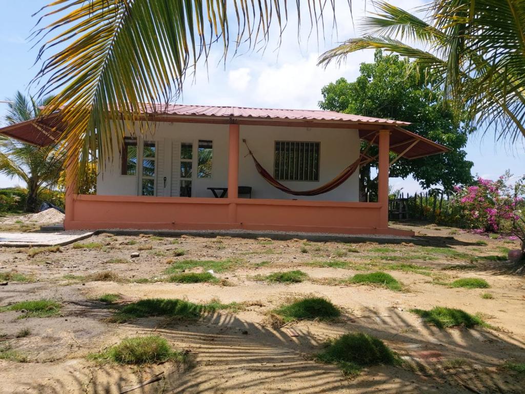 a house on the beach with a palm tree at El ensueño in San Bernardo del Viento