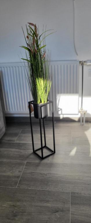 Apartman Bajka - Apartamento De Una Habitación