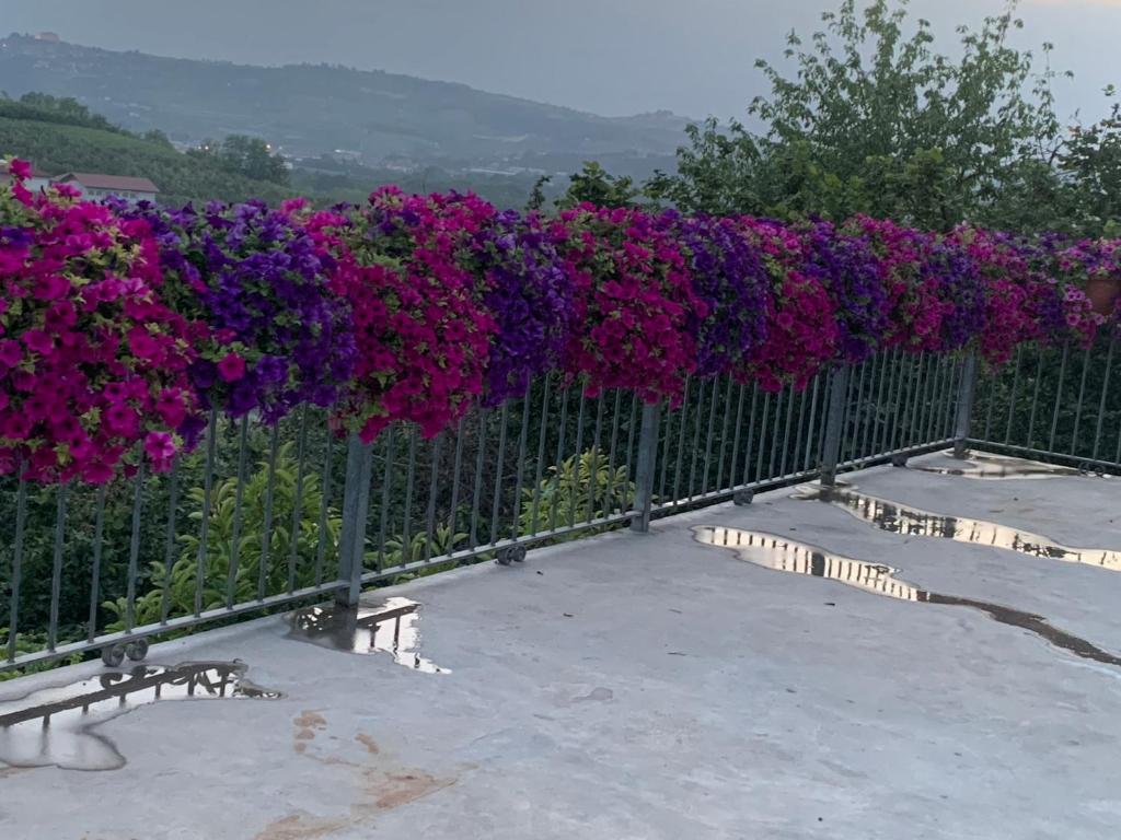 Nespecifikovaný výhled na hory nebo výhled na hory při pohledu z bed and breakfast