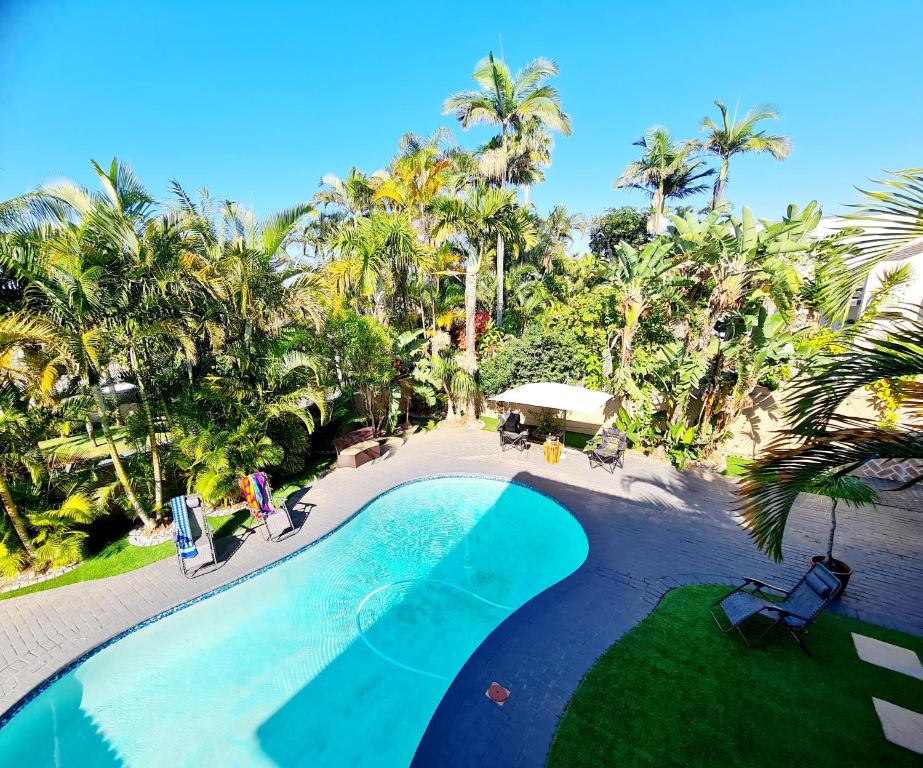 an overhead view of a swimming pool with palm trees at Oyster Guest House in Durban