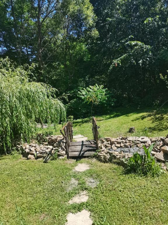 Zahrada ubytování Cazare La Oana