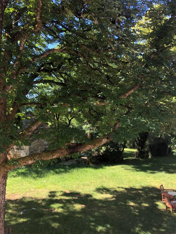 Zahrada ubytování Mas d’Aubrac