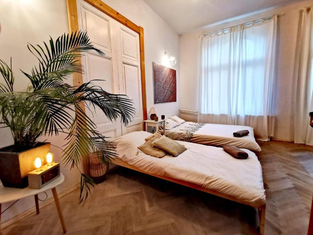 a bedroom with two beds and a potted plant at Smart Hostel Olsztyn in Olsztyn