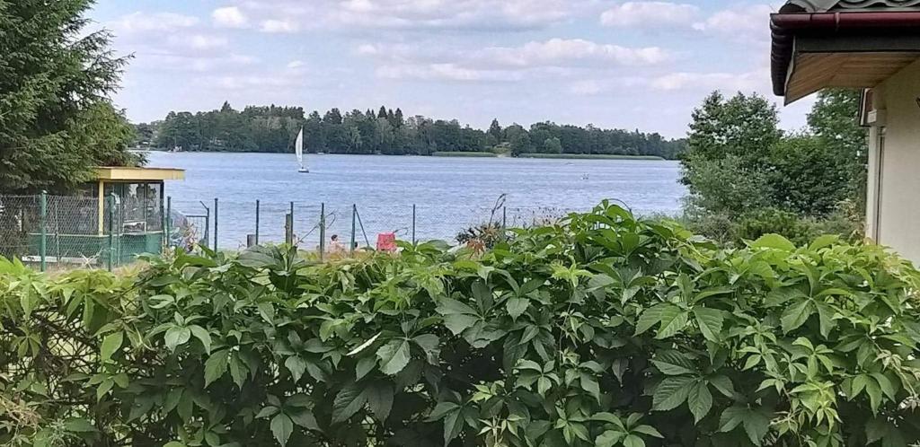 a view of a lake with a sail boat in the water at Apartamenty jezioro Białe in Okuninka