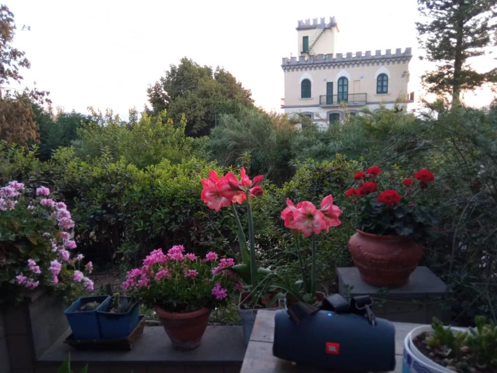 Zahrada ubytování Lemontree House Bacoli